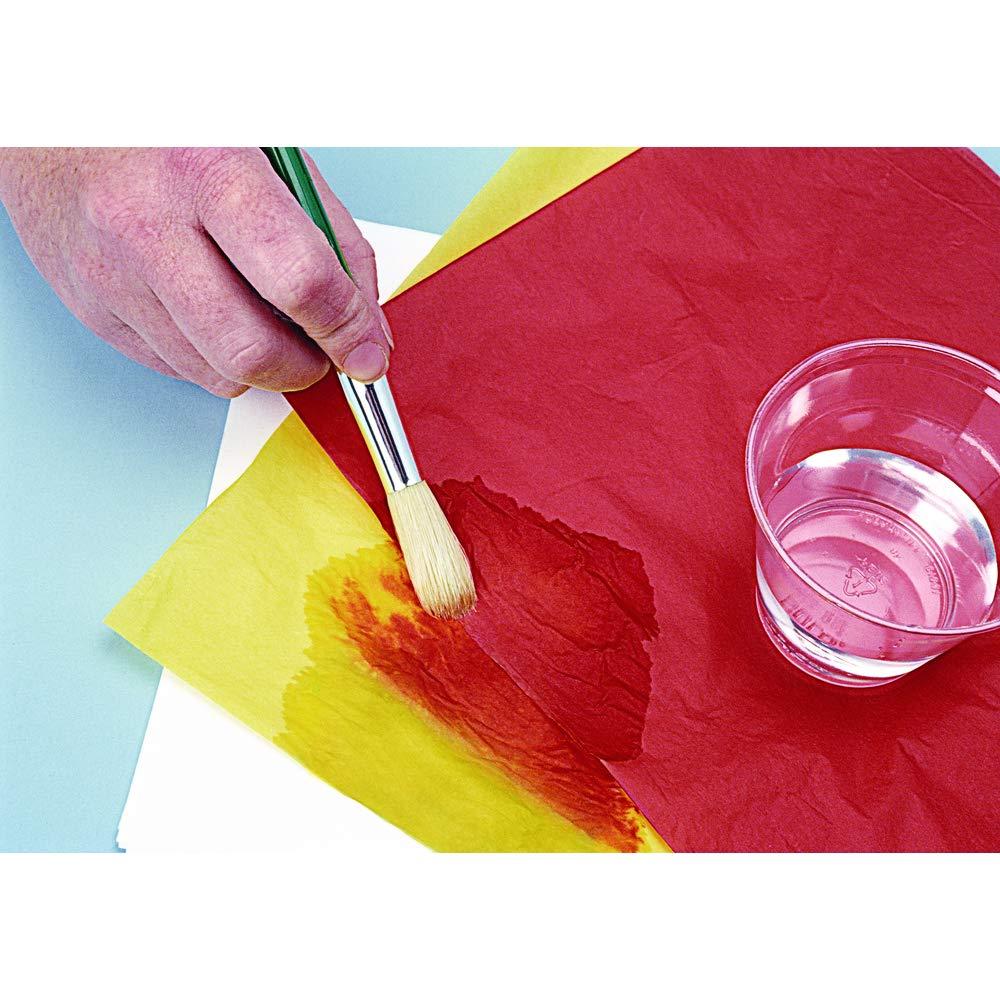 imageColorations Bleeding Art Tissue 50 Sheets 12 inches x 18 inches 20 Assorted Colors Watercolor Collage Arts ampamp Crafts Messfree Paint Alternative ModelBBREGTIS