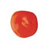 BioColor GBIOGR Paint, Green – 1 gal(Orange)