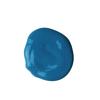 BioColor GBIOGR Paint, Green – 1 gal(Turquoise)