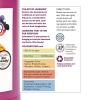 BioColor GBIOGR Paint, Green – 1 gal(Violet)