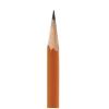 Colorations No.2 Woodcased Graphite Pencils, Set of 144, Hexagon-Shaped Pencils, Pencils with Latex-Free Erasers, Sustainably Harvested Wood, Kids School Pencils, Non-Toxic Graphite #2 Pencils
