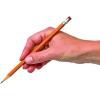 Colorations Primary Pencils with Erasers Set of 12 Pencils No 2 Grade Graphite Classroom Supplies(Standard Pencils)