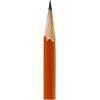 Colorations Primary Pencils with Erasers Set of 12 Pencils No 2 Grade Graphite Classroom Supplies(Standard Pencils)