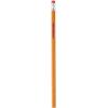 Colorations Primary Pencils with Erasers Set of 12 Pencils No 2 Grade Graphite Classroom Supplies(Standard Pencils)