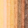 Colors Like me Crayons, 8 Colors, Regular Size, 12 Packs of an Assortment of 8 Realistic Skin Tones per Pack, Easy for Small Hands to Grasp and Apply(Crayons)