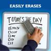 EXPO Low Odor Dry Erase Markers Chisel Tip Assorted Colors 12 Count