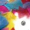 Colorations Rainbow Craft Feathers Classroom Pack, 8 oz – Colored Feathers for Arts & Crafts, Includes Zip-Top Bag for Easy Storage – Classroom Supplies for School and Learning at Home(8 oz.)