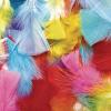 Colorations Rainbow Craft Feathers Classroom Pack, 8 oz – Colored Feathers for Arts & Crafts, Includes Zip-Top Bag for Easy Storage – Classroom Supplies for School and Learning at Home(8 oz.)