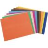 Colorations Economy Weight Colored Poster Board – 50 Sheets(Assorted)