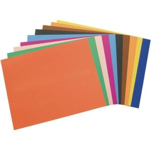 Colorations Economy Weight Colored Poster Board – 50 Sheets(Assorted)