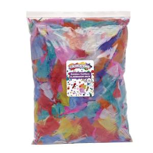 Colorations Rainbow Craft Feathers Classroom Pack, 8 oz – Colored Feathers for Arts & Crafts, Includes Zip-Top Bag for Easy Storage – Classroom Supplies for School and Learning at Home(8 oz.)