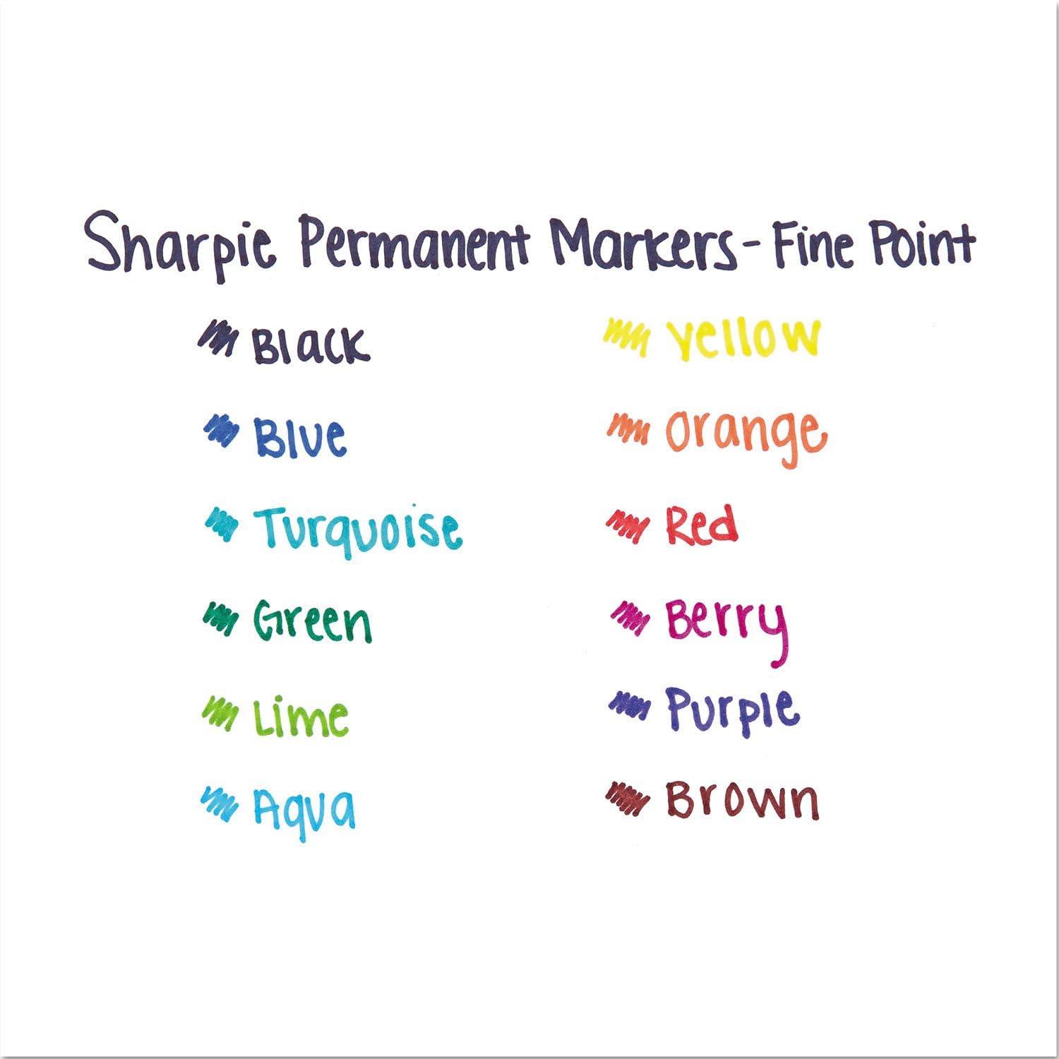imagePermanent Marker Fine Point Black Ink Lot of 12