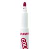 Colorations Classic Markers, Conical Tip, 16 Bold Colors, Coloring, Paper, Kids, Posters, Drawing, Bold Colors, Home, Classroom, School Supplies, Art Supplies, Craft Projects, Children(Assorted Set)