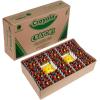 Crayola Crayon Classpack (800ct), Bulk Crayons for Kids, Bulk Back to School Essential Supplies, Large Crayon Box, Preschool Teacher Classroom Must Haves(832 Count (Pack of 1))