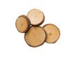 Colorations Natural Wood Craft Rounds, 50 Pieces w/ Bark, 1 3/4 inch to 2 3/8 inches Recycled, Branches, Smooth, Arts & Crafts, Nature(Wood Craft Rounds)