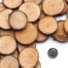 Colorations Natural Wood Craft Rounds, 50 Pieces w/ Bark, 1 3/4 inch to 2 3/8 inches Recycled, Branches, Smooth, Arts & Crafts, Nature(Wood Craft Rounds)