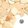 Colorations Natural Wood Craft Rounds, 50 Pieces w/ Bark, 1 3/4 inch to 2 3/8 inches Recycled, Branches, Smooth, Arts & Crafts, Nature(Wood Geo Shapes)