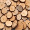 Colorations Natural Wood Craft Rounds, 50 Pieces w/ Bark, 1 3/4 inch to 2 3/8 inches Recycled, Branches, Smooth, Arts & Crafts, Nature(Wood Craft Rounds)