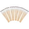 Colorations Natural Fine Brushes, 36 Pieces! A Great Paintbrush Set for Any Young Artist! Individually Packaged, Arts & Craft Craft for Children, Kids Crafts for Home or The Classroom