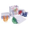 Colorations® White Craft Paper Bags with Handle, Set of 24 Bags, Ready to Decorate and Create Unique, Personal Designs, At school, home, lunchtime, field trips, playdates, party favor bags