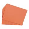 Colorations 9″ x 12″ Mediumweight Summer Colors Construction Paper Pack – 250 Sheets, Arts and Crafts, School Supplies, Drawing, Coloring, Painting, 3D Art Paper