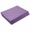 Construction Paper,Holiday Green,12 inches x 18 inches,500 Sheets,Heavyweight Construction Paper,Crafts,Art,Kids Art,Painting,Coloring,Drawing,Creating,Paper,Art Project,All Purpose(Violet)