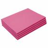 Construction Paper,Holiday Green,12 inches x 18 inches,500 Sheets,Heavyweight Construction Paper,Crafts,Art,Kids Art,Painting,Coloring,Drawing,Creating,Paper,Art Project,All Purpose(Hot Pink)