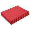 Construction Paper,Holiday Green,12 inches x 18 inches,500 Sheets,Heavyweight Construction Paper,Crafts,Art,Kids Art,Painting,Coloring,Drawing,Creating,Paper,Art Project,All Purpose(Holiday Red)
