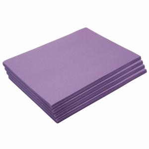 Construction Paper,Holiday Green,12 inches x 18 inches,500 Sheets,Heavyweight Construction Paper,Crafts,Art,Kids Art,Painting,Coloring,Drawing,Creating,Paper,Art Project,All Purpose(Violet)