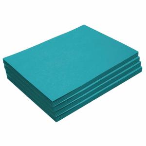 Construction Paper,Holiday Green,12 inches x 18 inches,500 Sheets,Heavyweight Construction Paper,Crafts,Art,Kids Art,Painting,Coloring,Drawing,Creating,Paper,Art Project,All Purpose(Turquoise)