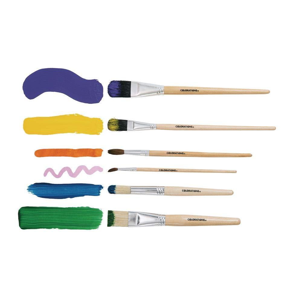 imageColorations Natural Bristles Paint Brushes Multiple Styles and Sizes with Storage Tray  Set of 72
