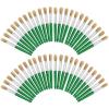 Colorations Jumbo Chubby Paint Brushes, 48 Brushes, Individually Packaged, Personalize & Decorate for Gifts, Arts & Craft Craft for Children, Kids Crafts for Home or The Classroom