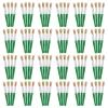 Colorations Jumbo Chubby Paint Brushes, 96 Brushes, Individually Packaged, Personalize & Decorate for Gifts, Arts & Craft Craft for Children, Kids Crafts for Home or The Classroom