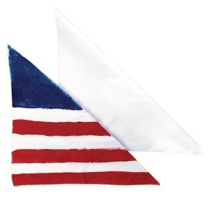 Colorations BANDANNA Decorate Your Own Bandannas (Pack of 12)