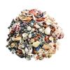 Colorations Assorted Sea Shells, Small, 1 pound, Nature, Ocean, Decorating, Décor, DIY Crafts, for Kids & Home, STEM