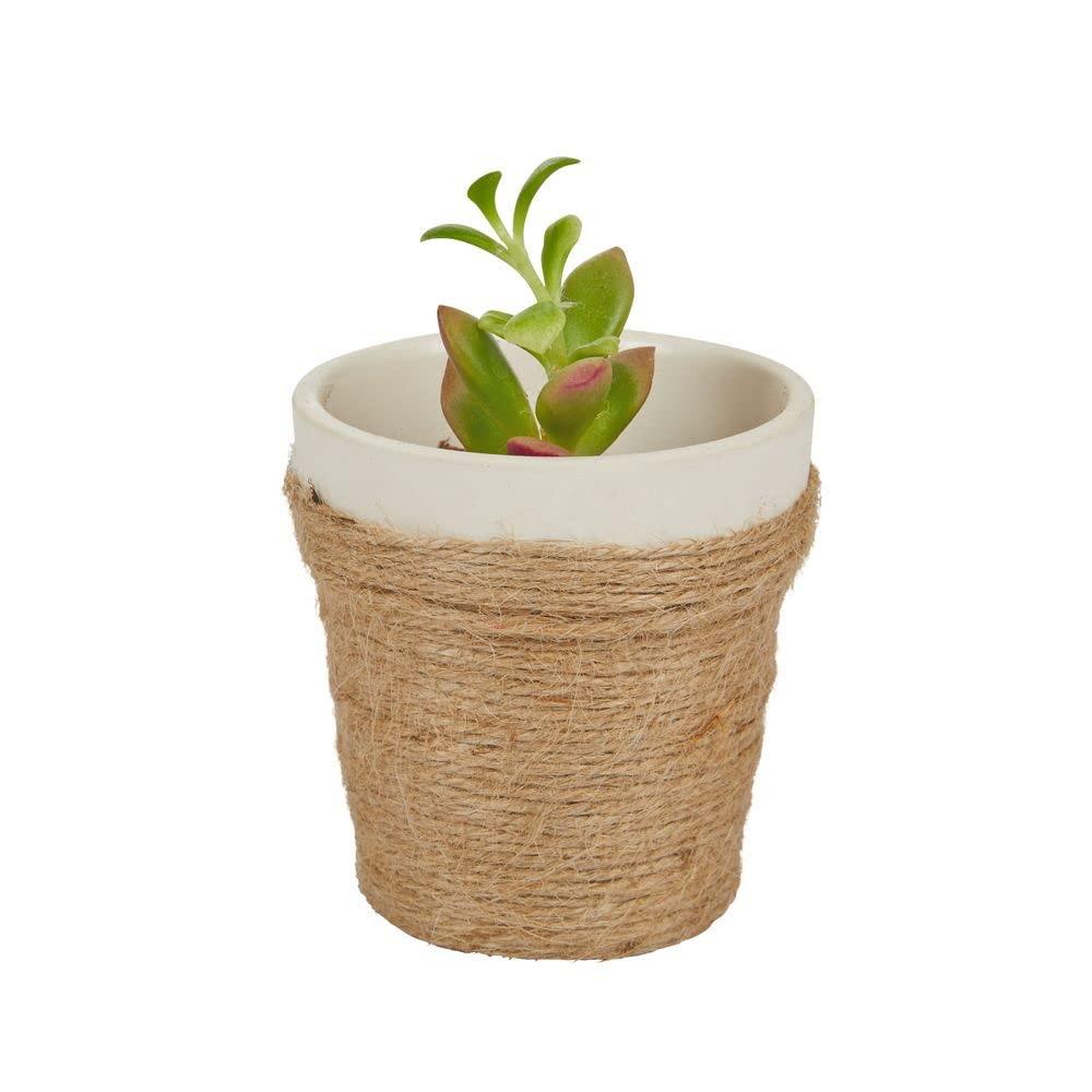 imageColorations Natural Tones Colored Twine  53 Yards 6 Colors