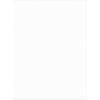 Tru-Ray® Construction Paper, 50% Recycled, 9″ x 12″, White, Pack Of 50