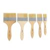 Colorations Large Area Paint Kit