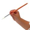 Paint Brushes, Colorations, Set of 4 Assorted Sizes, Round Tips, Kids Paint Brushes, Paint Brush Set,Kids Painting,Art,Craft,Paint Supplies,Art Supplies,Paint Brush,Paint Brushes,Tempera,Watercolor