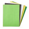 Colorations 9″ x 12″ Mediumweight St. Patrick’s Day Colors Construction Paper Pack – 250 Sheets, Arts and Crafts, School Supplies, Drawing, Coloring, Painting, 3D Art Paper