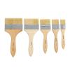 Colorations Large Area Paint Brushes – Set of 5 Sizes