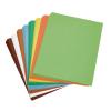 Colorations 9″ x 12″ Mediumweight Nature Colors Construction Paper Pack – 400 Sheets, Arts and Crafts, School Supplies, Drawing, Coloring, Painting, 3D Art Paper