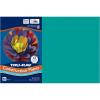 Tru-Ray® Construction Paper, 50% Recycled, 12″ x 18″, Pink, Pack Of 50(Turquoise Blue)