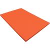 Pacon PAC103002 Tru-Ray Construction Paper, 9 x 12 Inches, Orange, 50 Sheets (103002)(50 Count (Pack of 1))