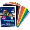 Tru-Ray Construction Paper P103031, 10 Classic Colors, 9″ x 12″, 50 Sheets(Hot Color Assortment)
