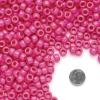 Colorations Pink Pony Beads, 1/2 lb. Approx. 800 Pcs in Resealable Stand-Up Storage, Accent Beads, Hair Accessory, Slime, Stringing, Learn, Teachers, Kids, Creative, Arts & Crafts (Item # SPONYPI)