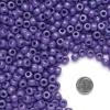 Colorations Purple Pony Beads, 1/2 lb. Approx. 800 Pcs in Resealable Stand-Up Storage, Accent Beads, Hair Accessory, Slime, Stringing, Learn, Teachers, Kids, Creative, Arts & Crafts (Item # SPONYPU)