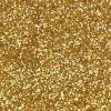 Colorations Biodegradable Glitter – Silver 4oz(Gold)
