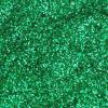 Colorations Biodegradable Glitter – Silver 4oz(Green)