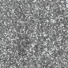 Colorations Biodegradable Glitter – Silver 4oz(Silver)